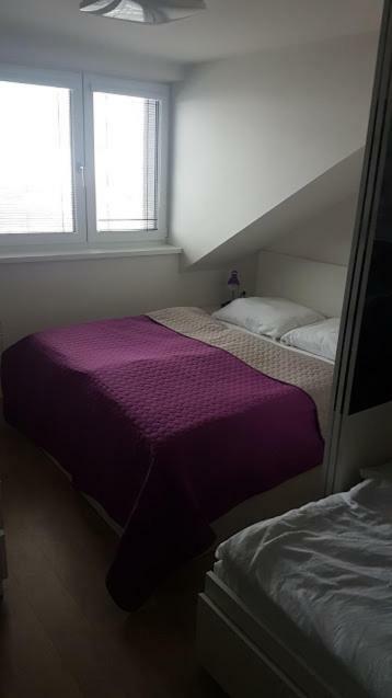 Apartmany Dolna Morawa Zewnętrze zdjęcie